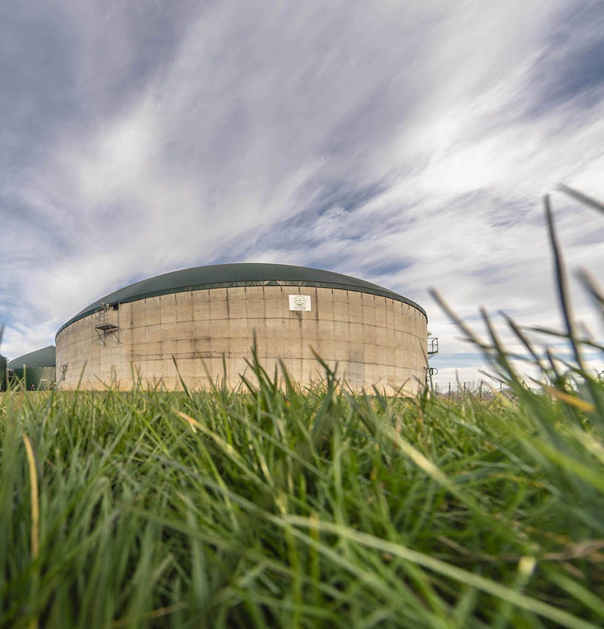 La Bioéconomie en mode fléchage dans la région 