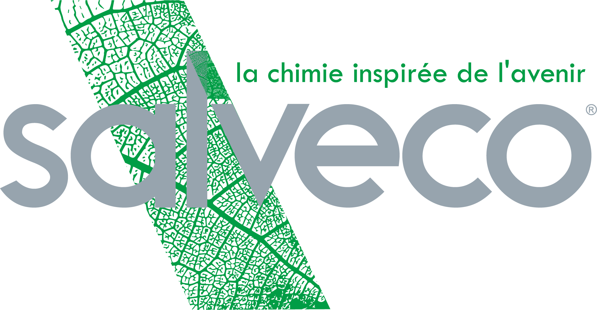 Saint-Dié-des-Vosges : Salveco signe un partenariat avec le Groupe Altaïr 