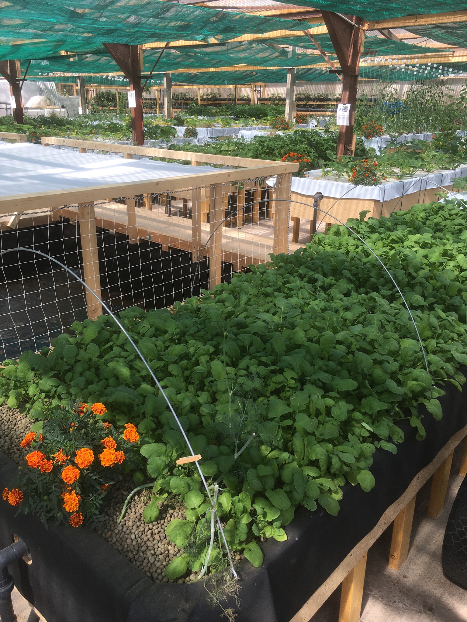 «Sur le chemin de nos fermes» : six exploitations à découvrir 