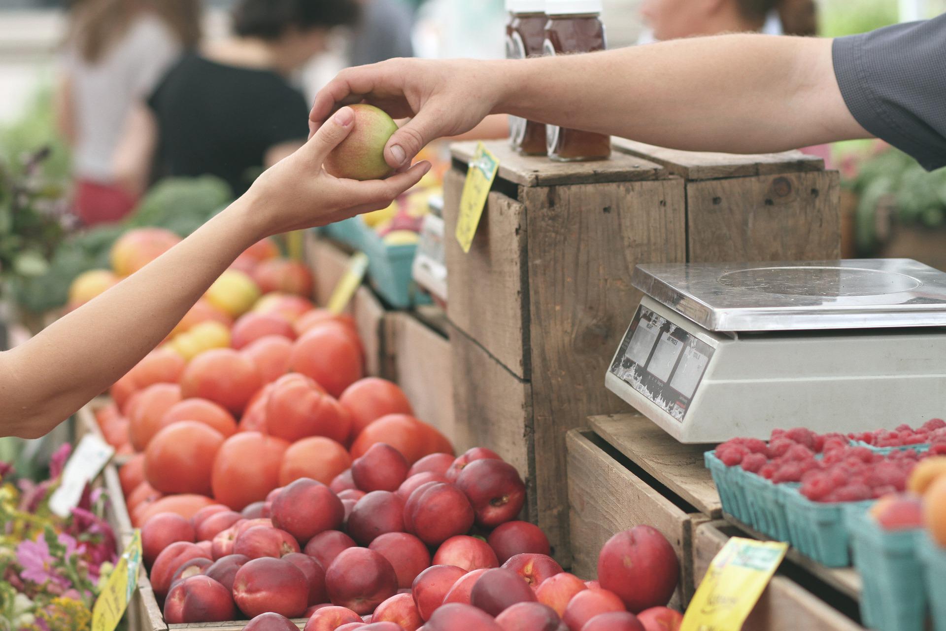 Saint-Maximin : un nouveau marché hebdomadaire sur la place d’Octobre