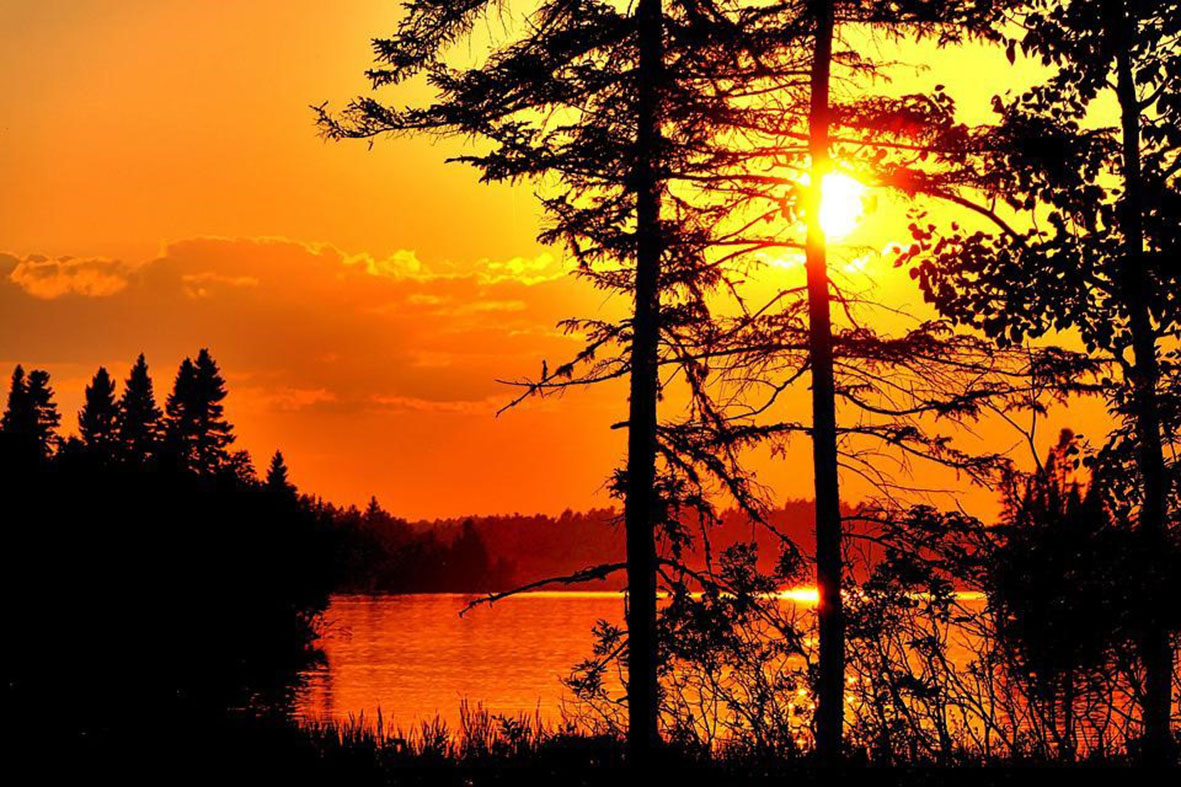  L’agence Scalen se penche sur la diversité du vivant