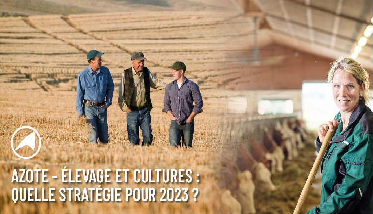 Azote, élevages et cultures : quelle stratégie pour 2023 ?