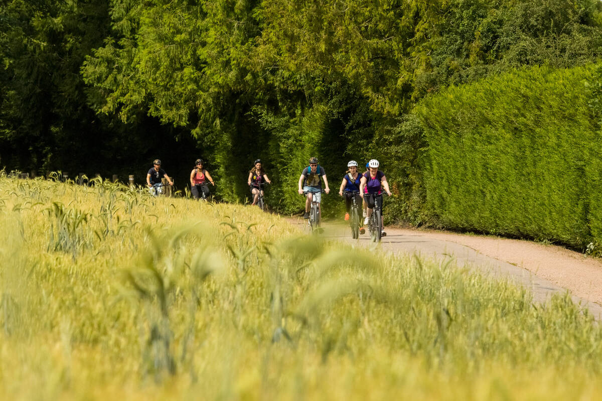 «À vélo dans le Parc» : opération valorisation des mobilités douces