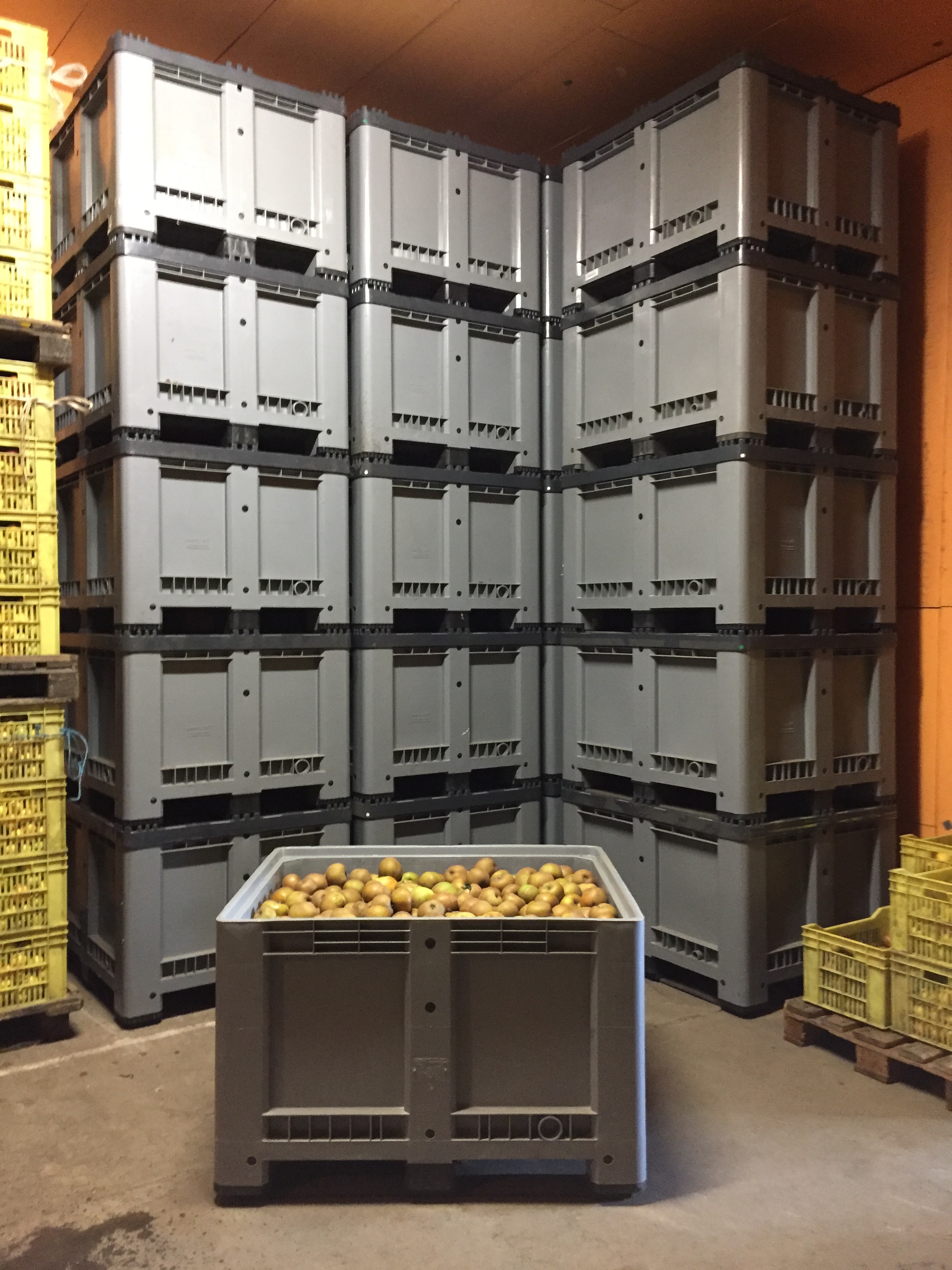 Conservation longue durée pour les maraichers