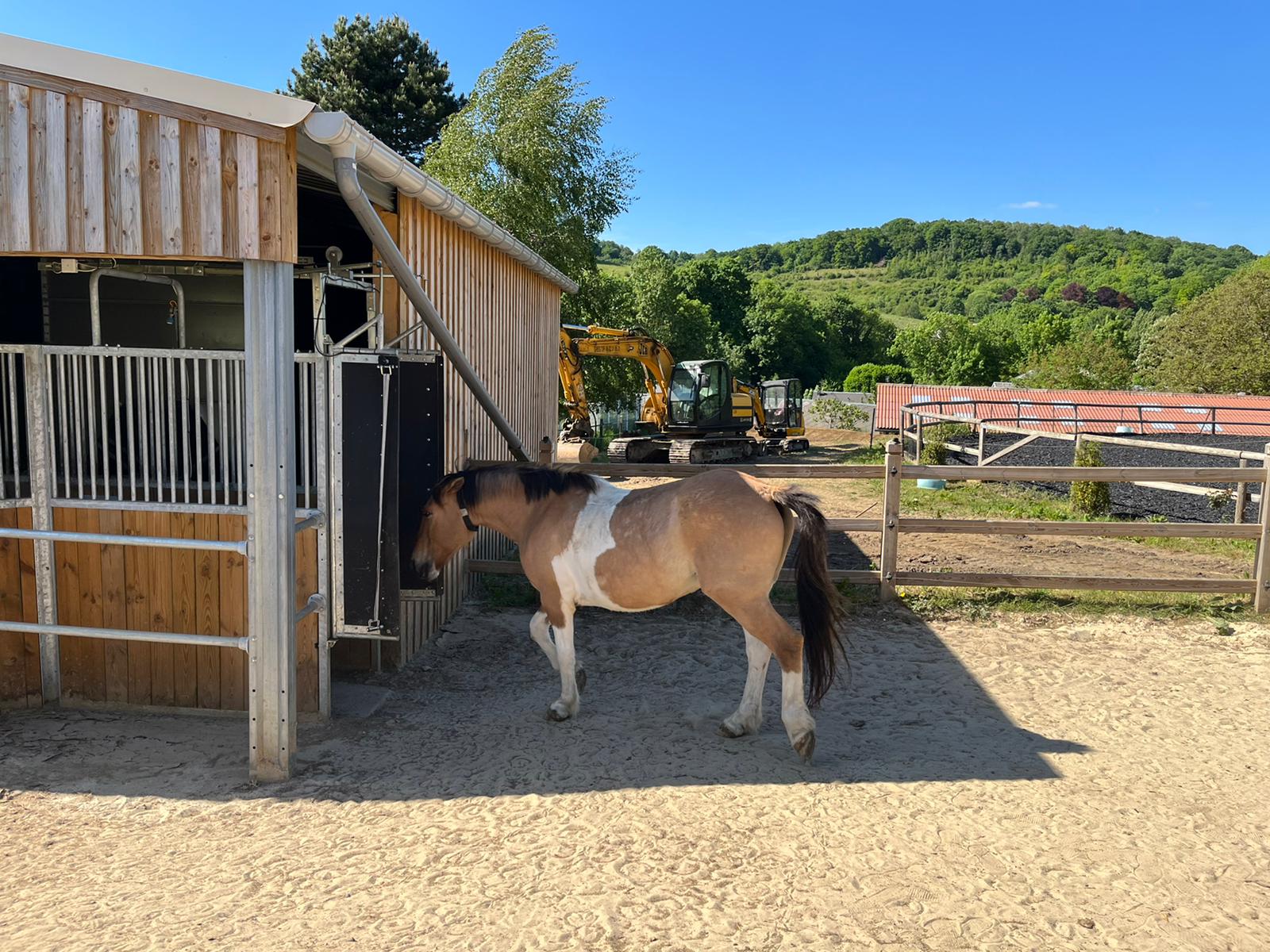 Darnétal : Le Haras de l'étoile investit 400 000 euros pour mettre en place une écurie active