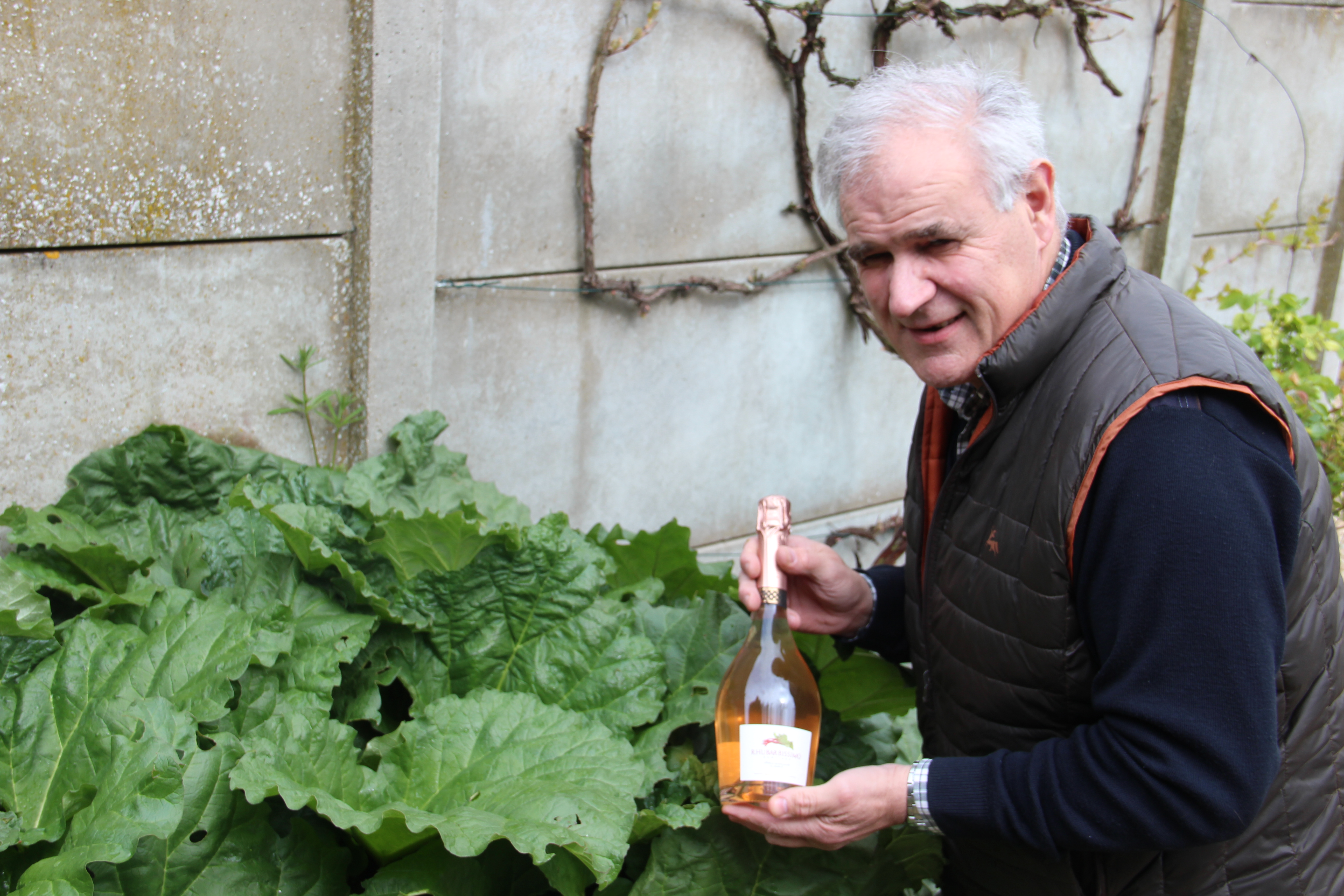 Rhubarbissimo, l'excellence pétillante à la rhubarbe... made in Oise