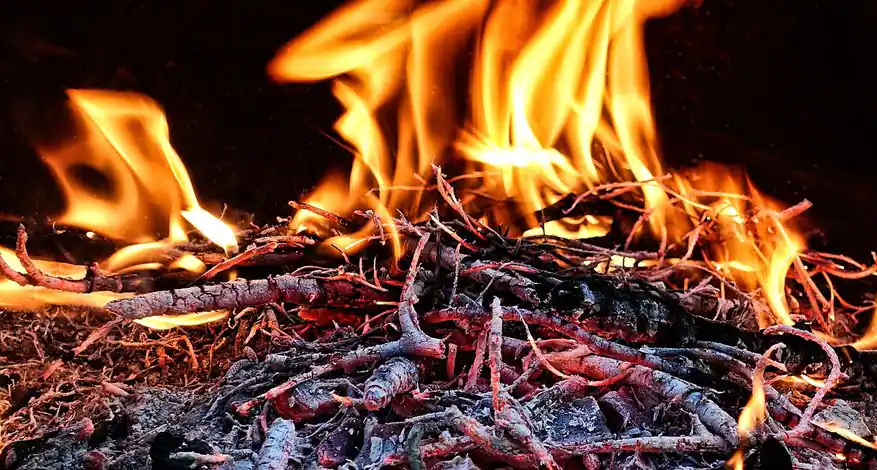 Rappel de règles concernant le brûlage des déchets végétaux