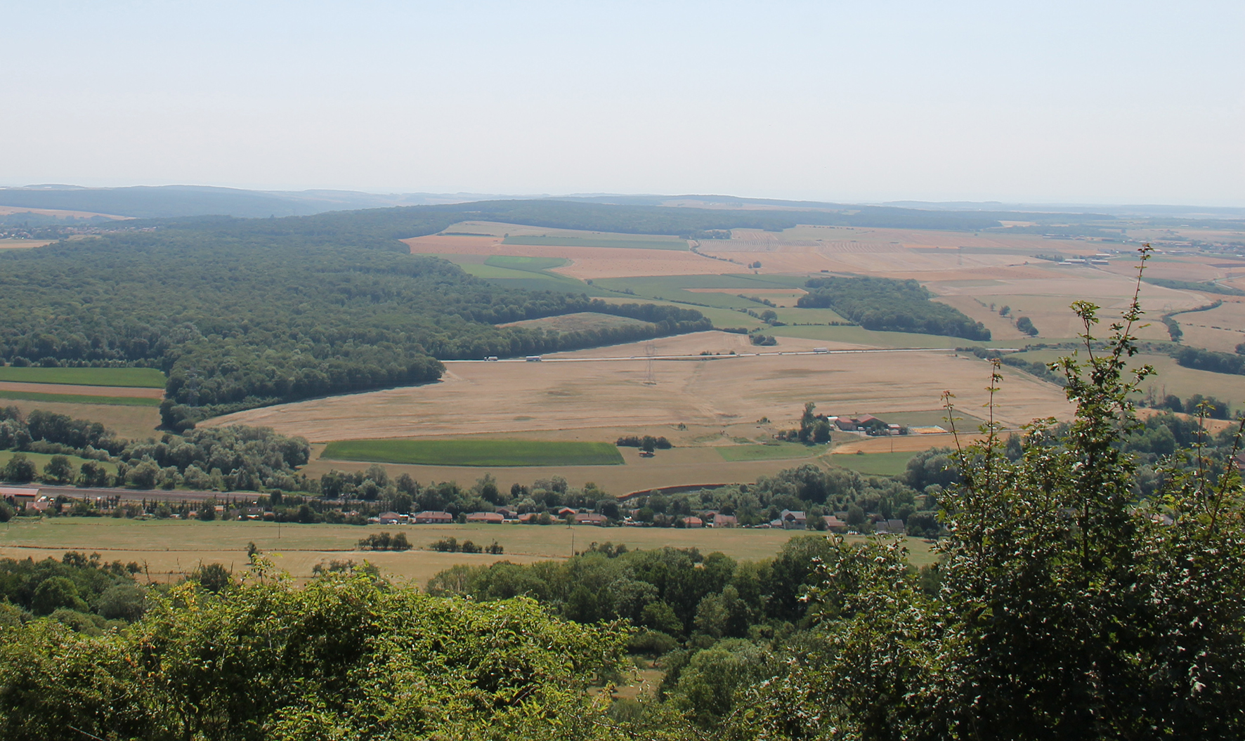 Transition écologique :  une agence en vue 