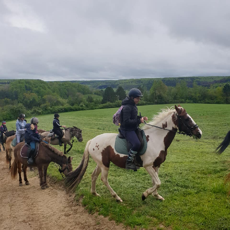 Huit fermes ouvrent leurs portes au public jusqu’au 30 juin