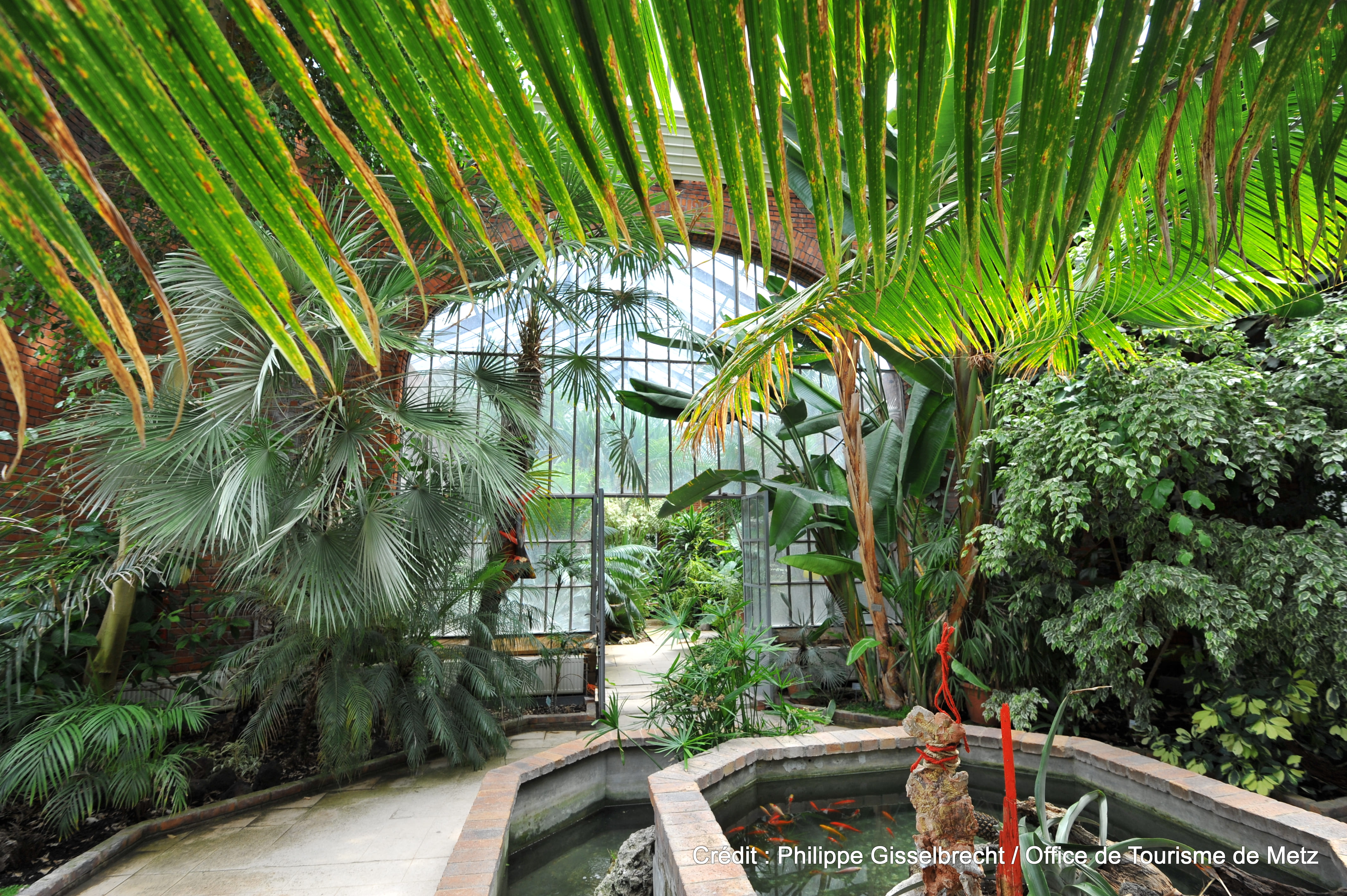 Les visites guidées de l’agence Inspire Metz accélèrent en juin