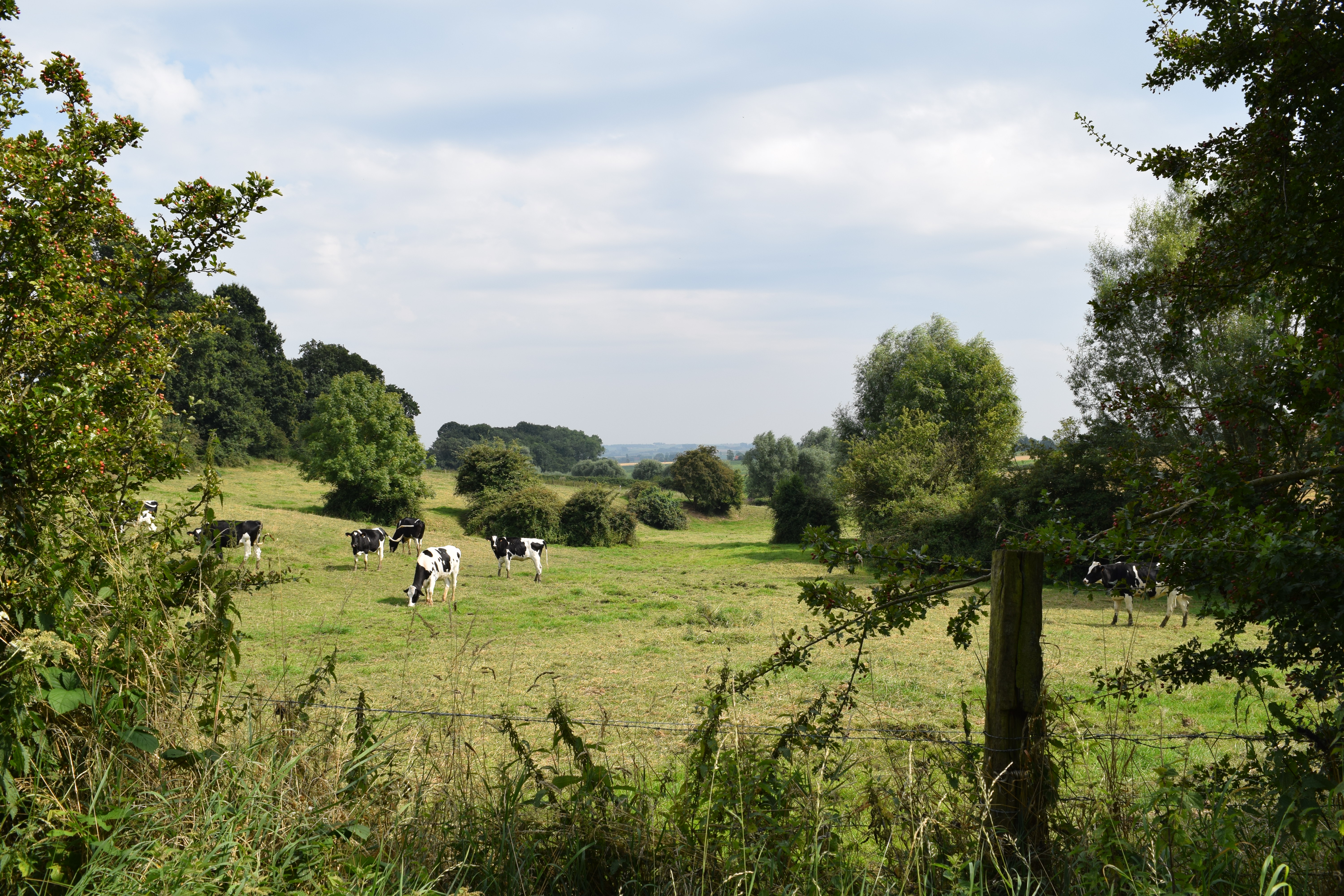 Préserver la biodiversité en devenant Territoires engagés pour la nature en Hauts-de-France