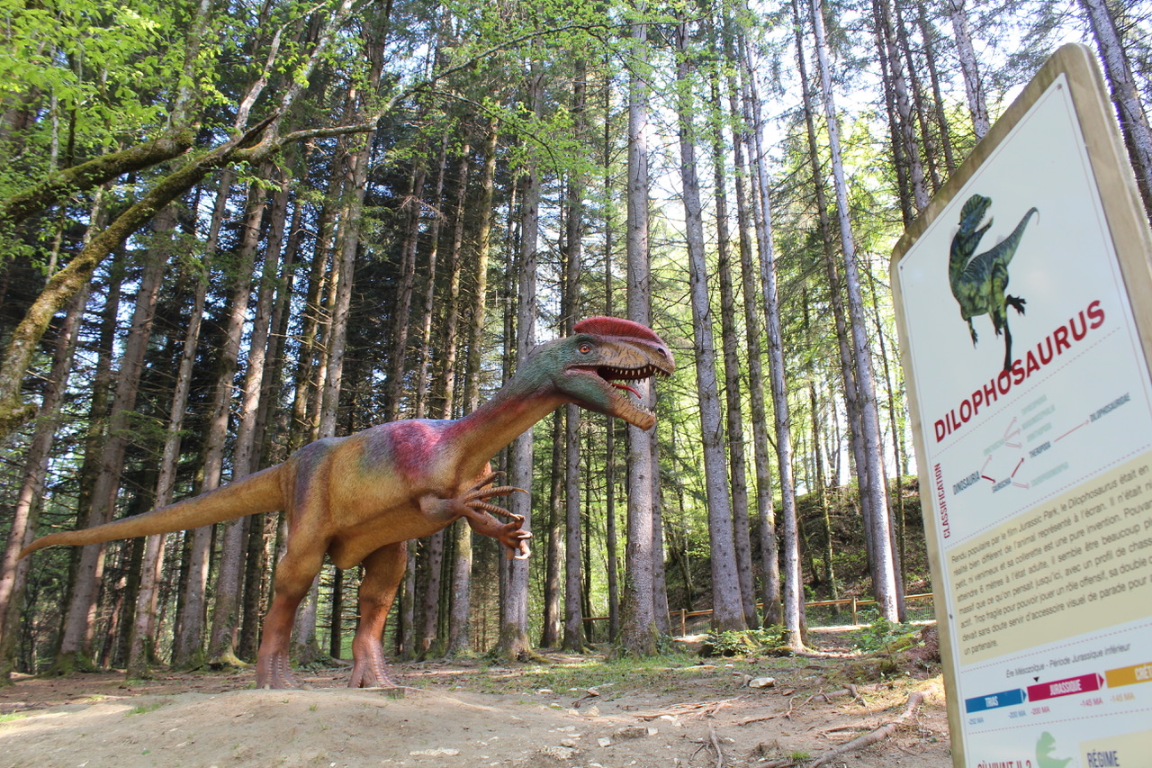 Au Dino-zoo, les nouveautés ne craignent pas l'extinction