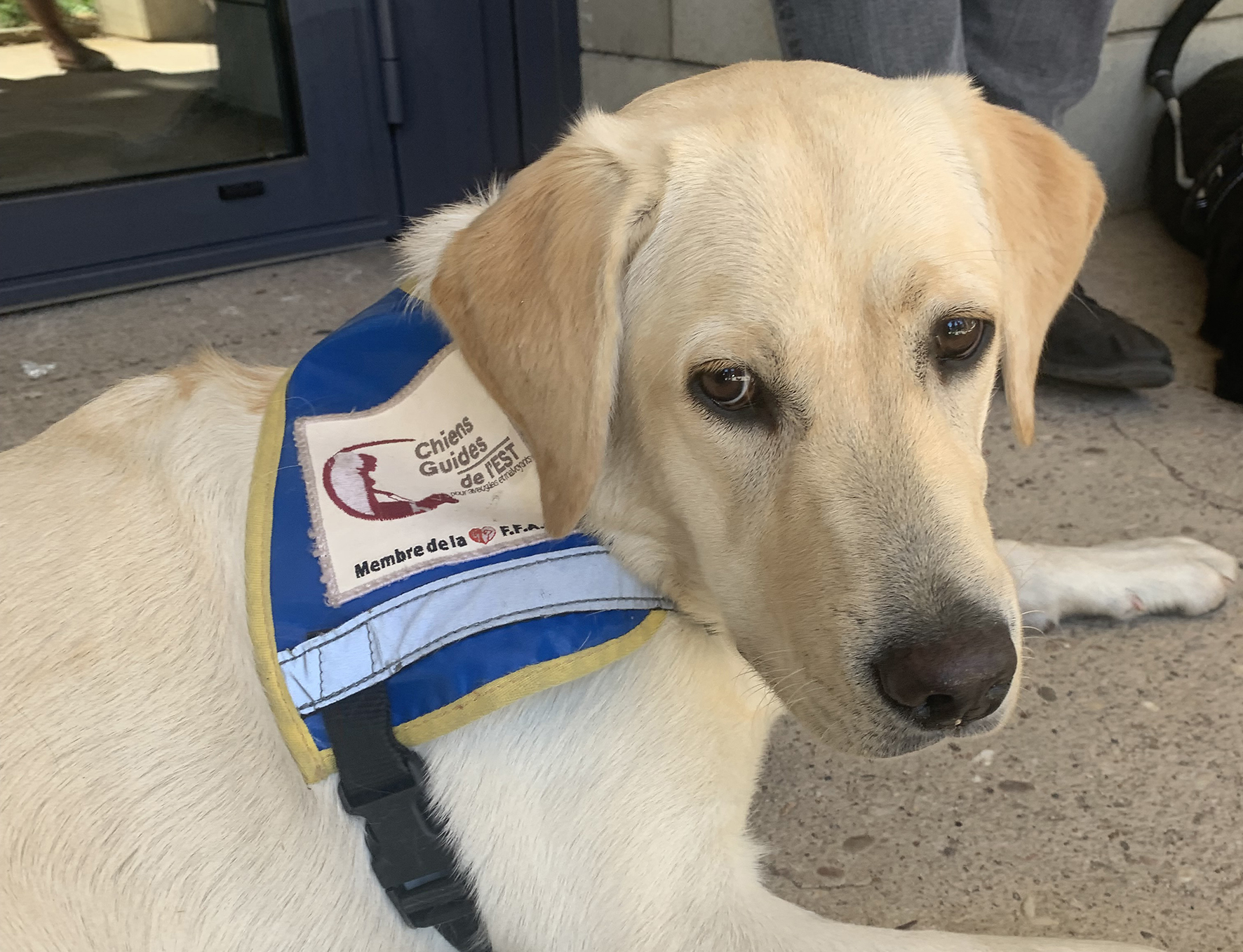 RSE :  GRDF voit loin