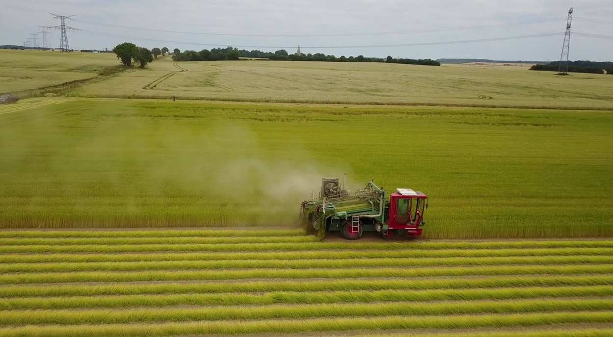 Grandvillers : SCA Lin 2000, à la croisée des chemins