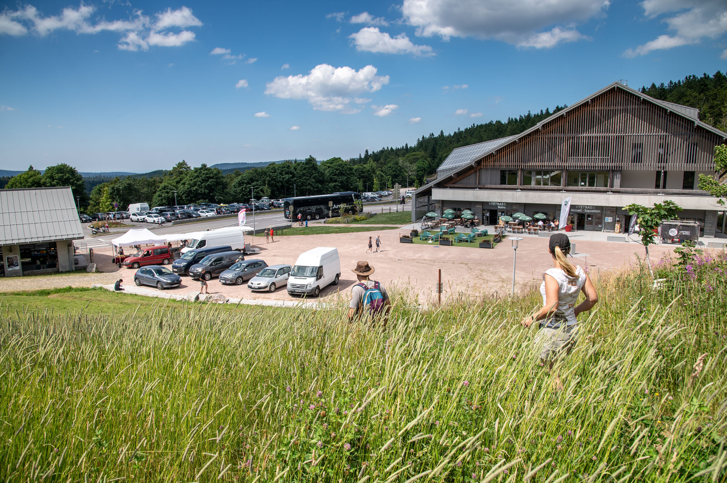 Animations et randonnées au col de la Schlucht 