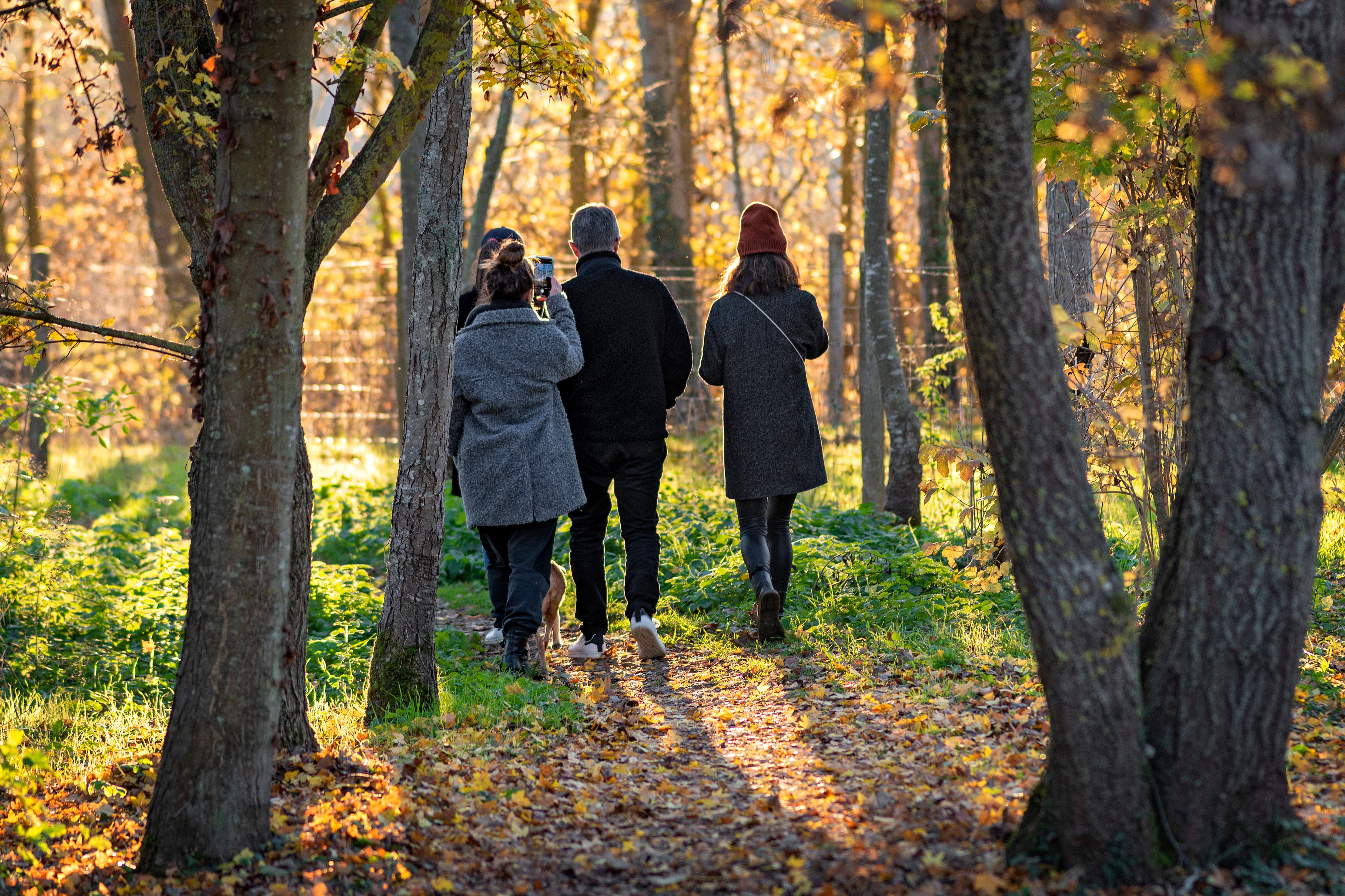 Balades et randonnées familiales jusqu’au 15 septembre