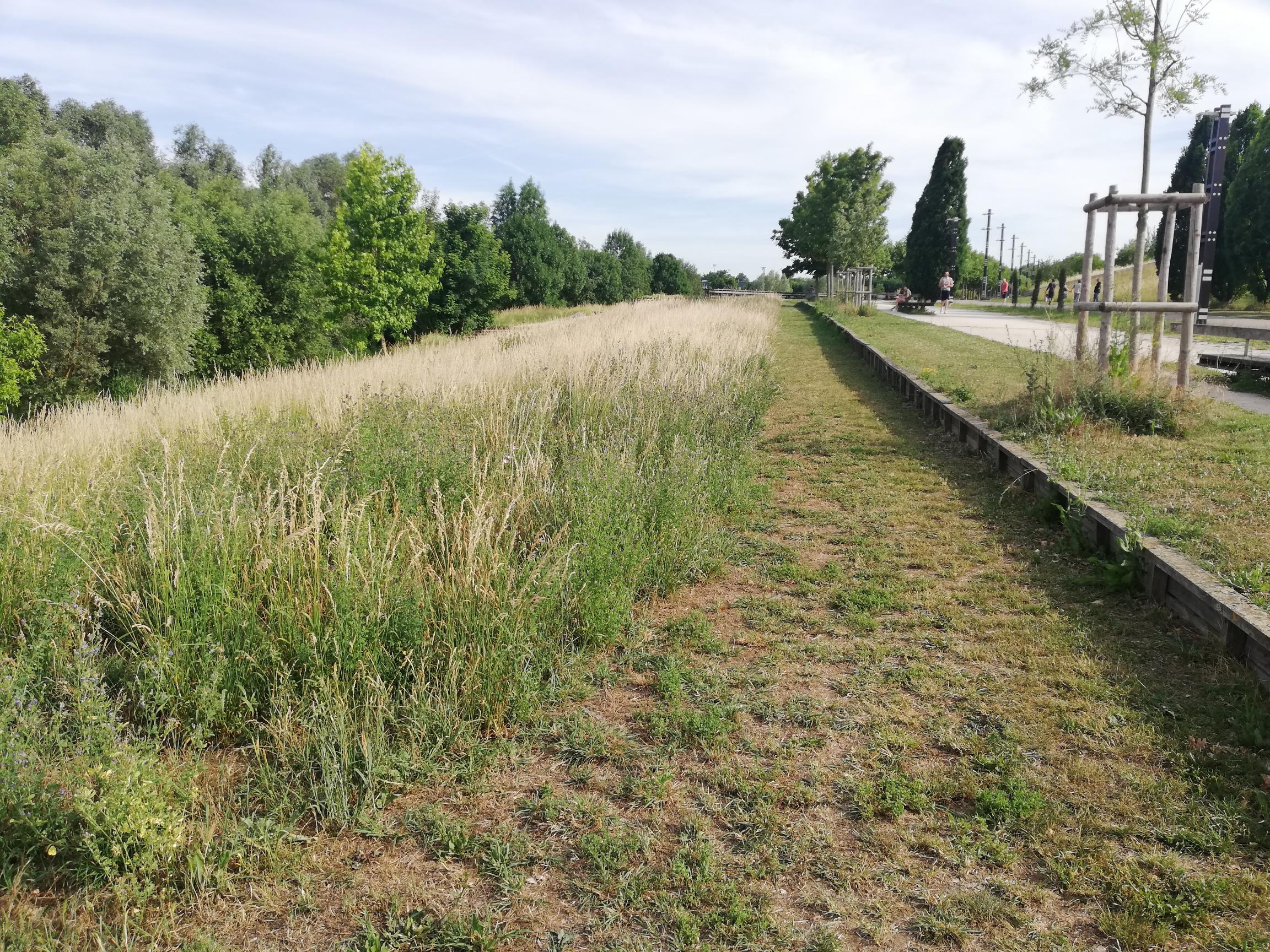 L’AGURAM dévoile les résultats de son enquête sur les Messins et les jardins 