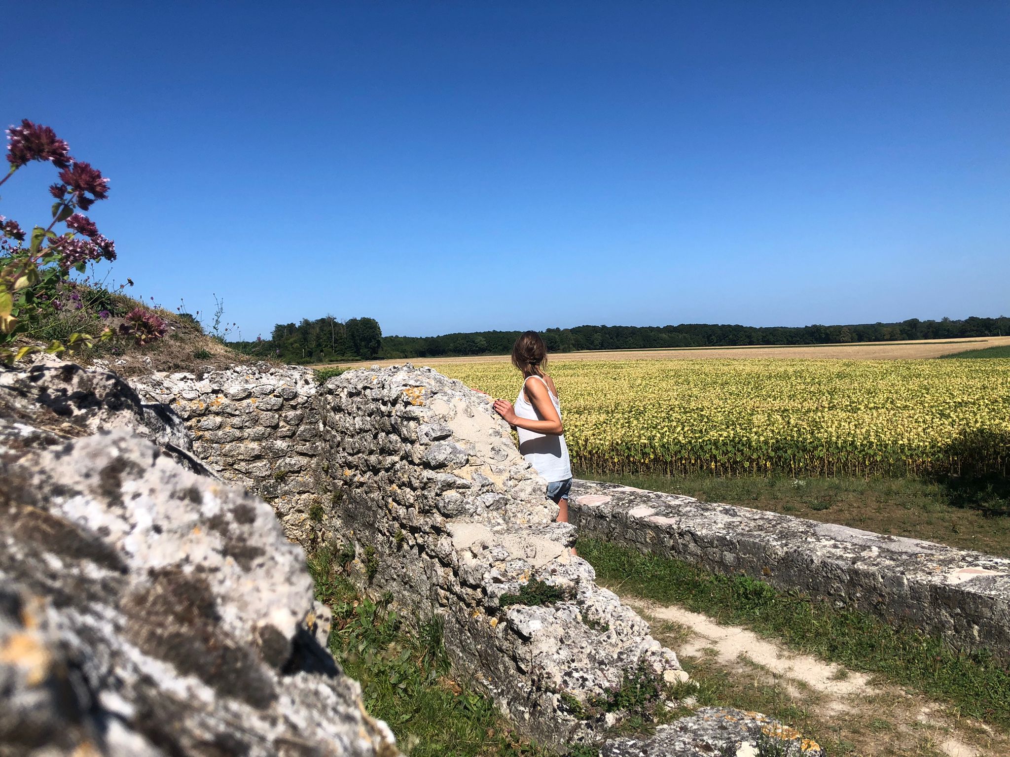 Les ruines gallo-romaines de Champlieu : un site antique imprégné d'Histoire 