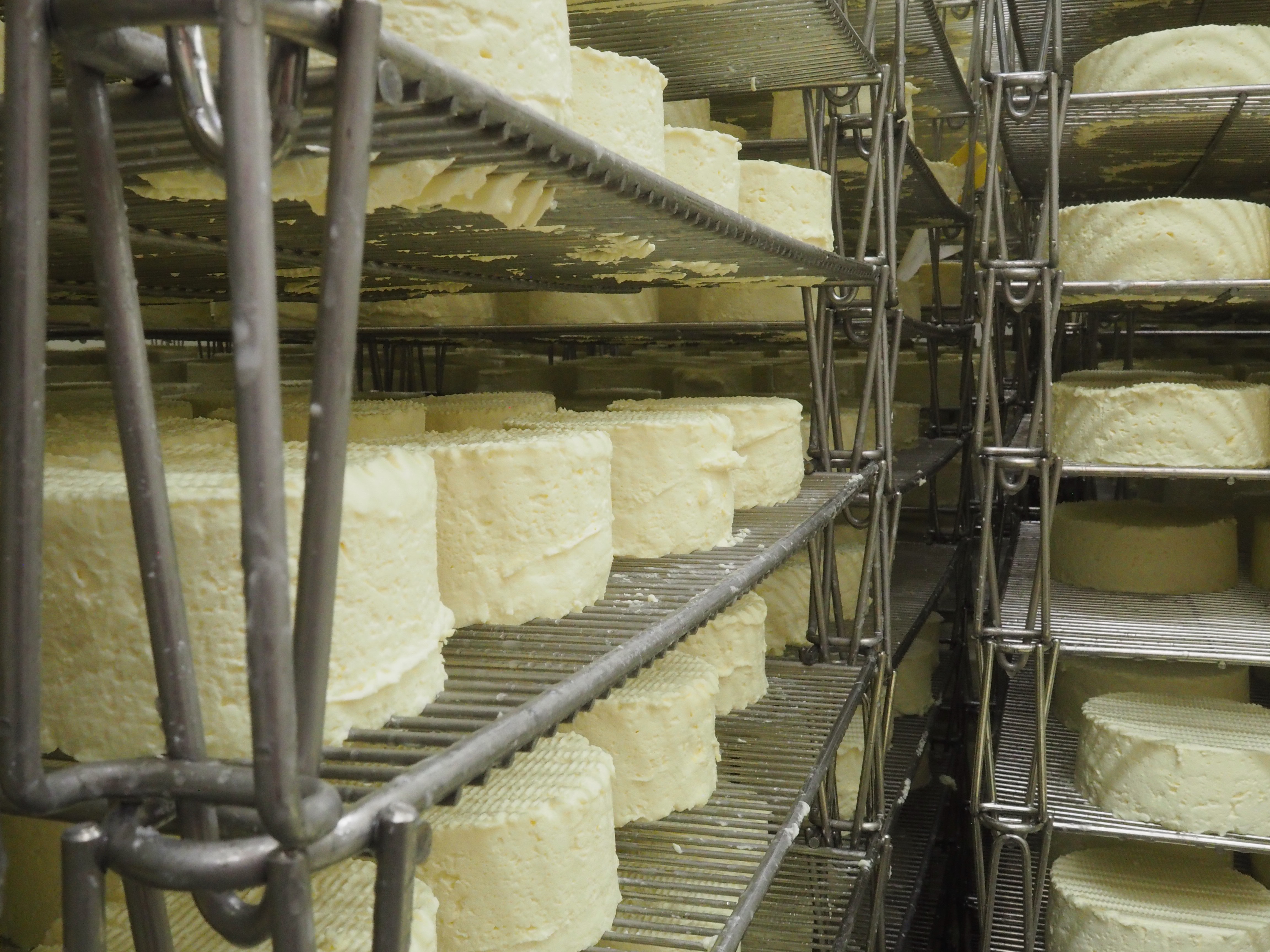 Gilly-lès-Cîteaux : La Fromagerie Delin investit pour voir plus grand