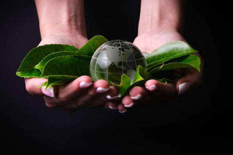 L’échoppe atypique arrive à Villers-lès-Nancy 