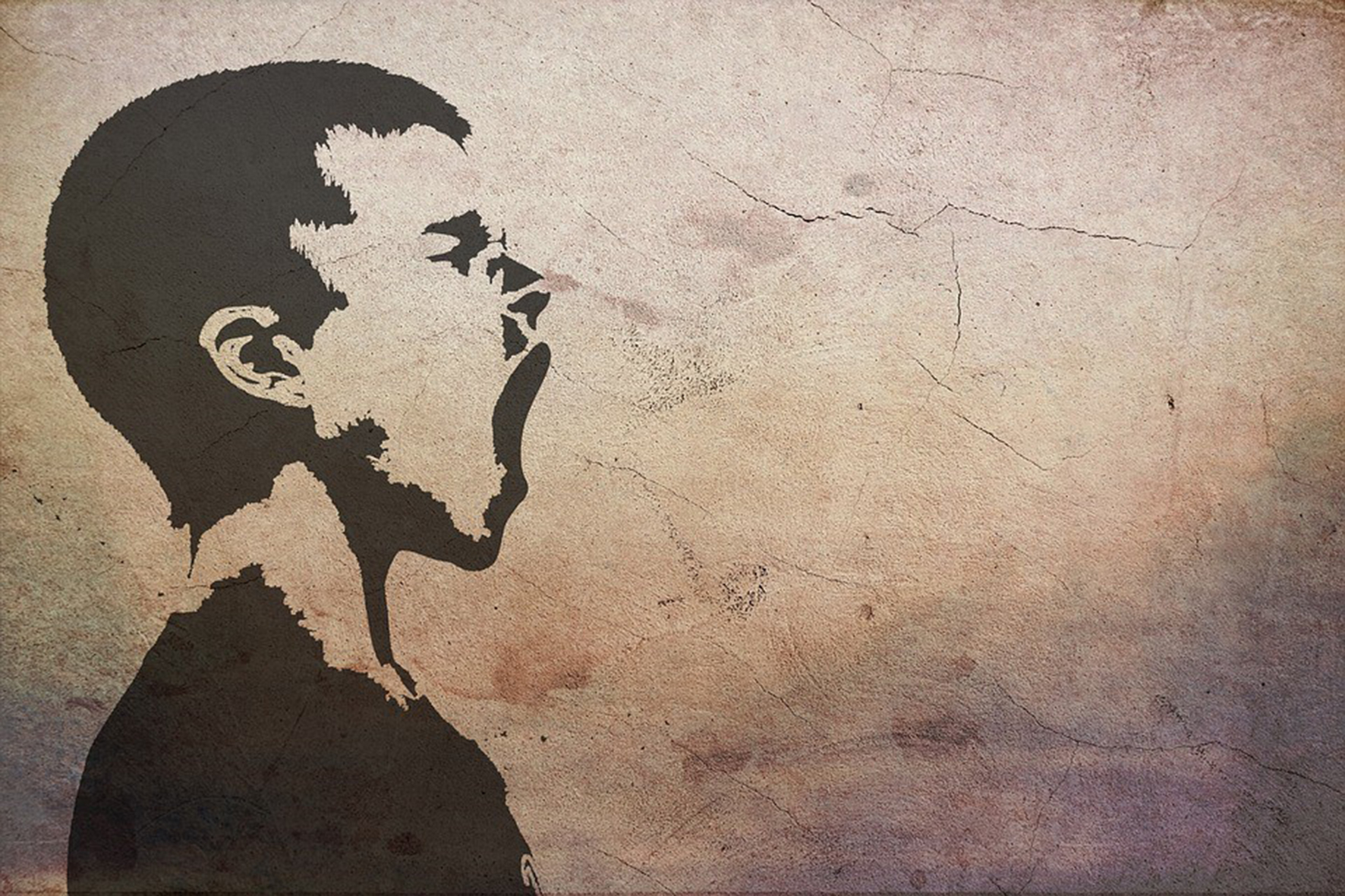  L’ère des réseaux «sauvages»...