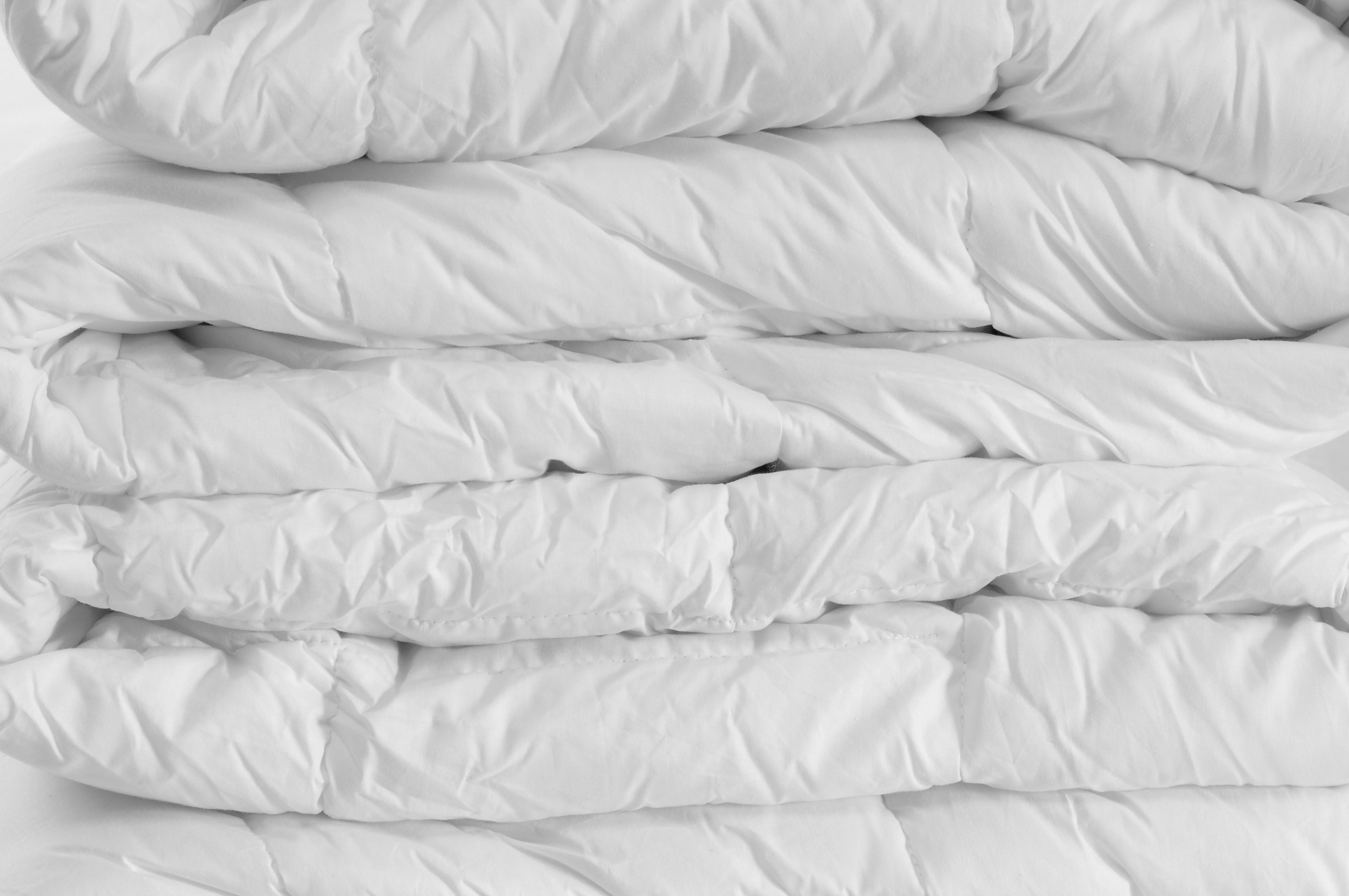 Seine-Maritime : Le groupe PEG voit ses capacités de production stimulées 