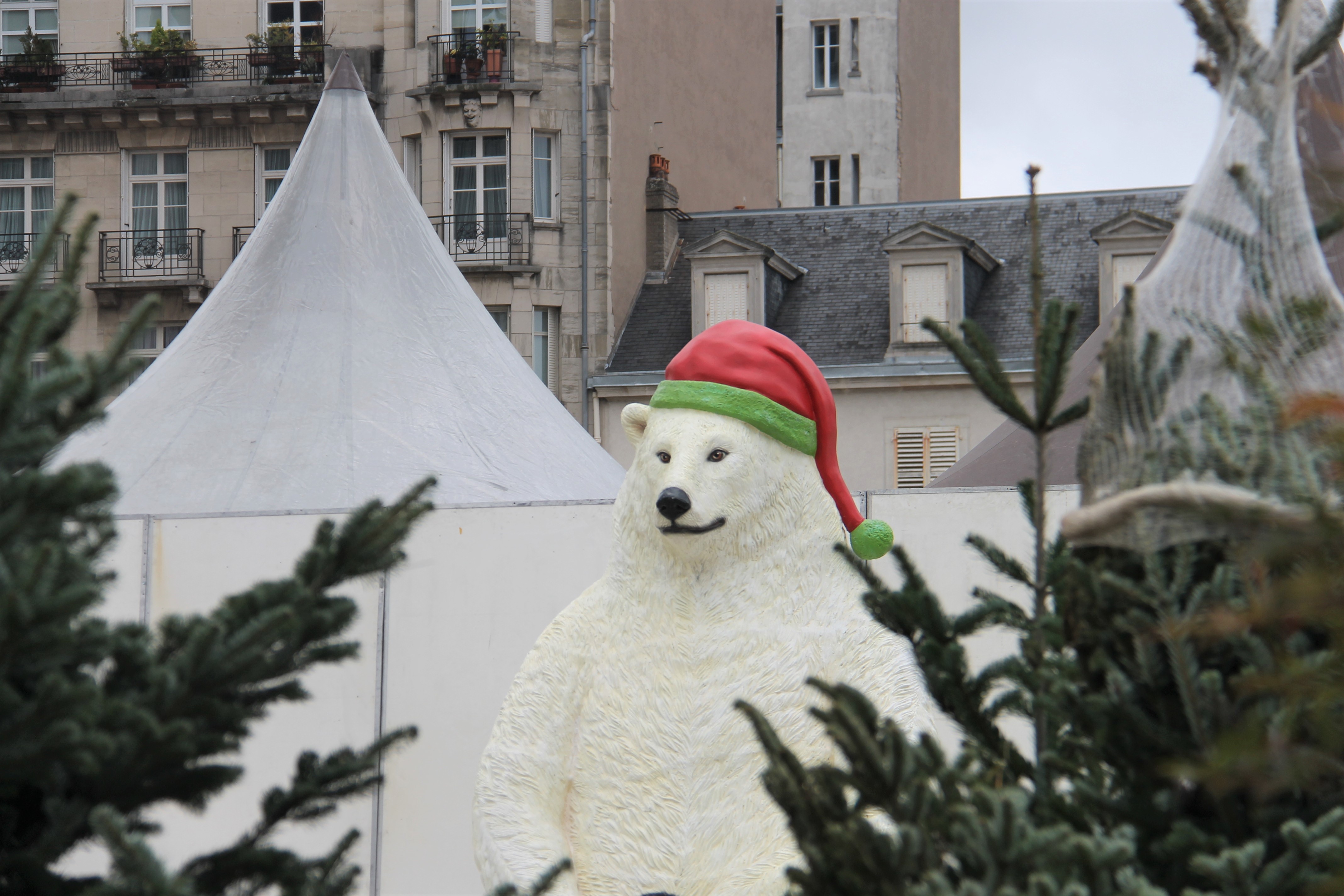 La photo de la semaine