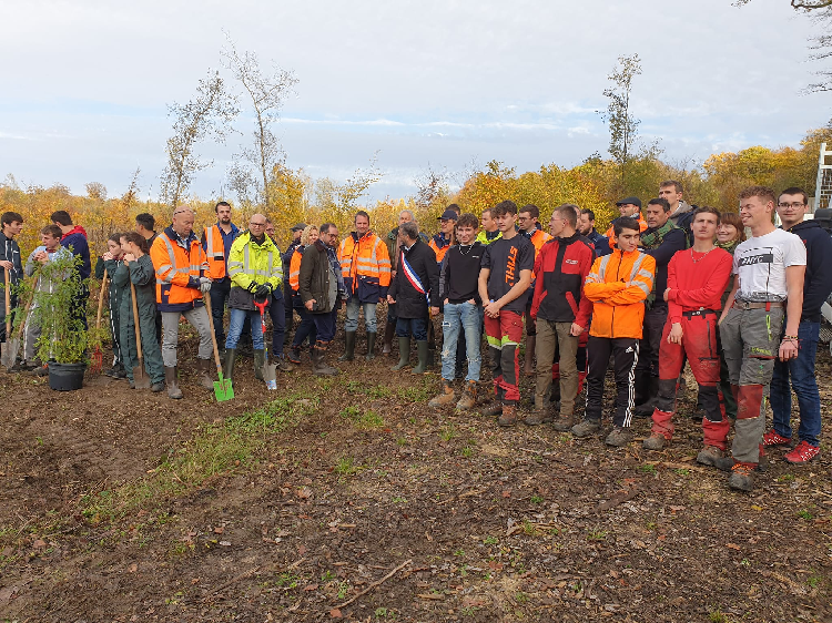 Ligny en barrois : Enedis participe au projet de restauration de la forêt