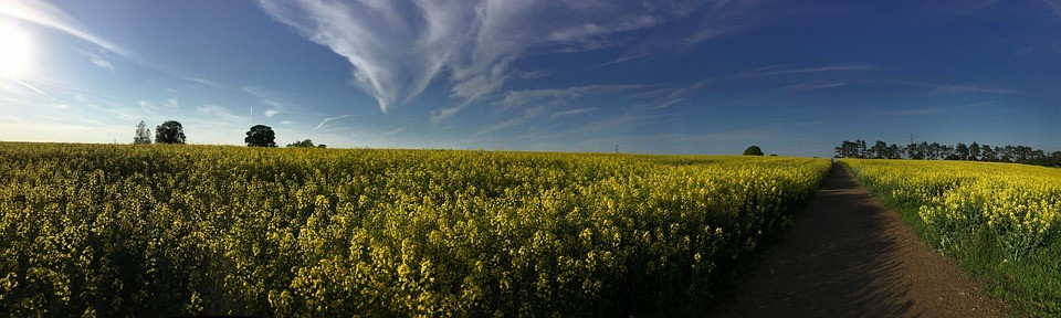 La Chambre d’Agriculture de la Meuse : conférence sur la biodiversité en vue