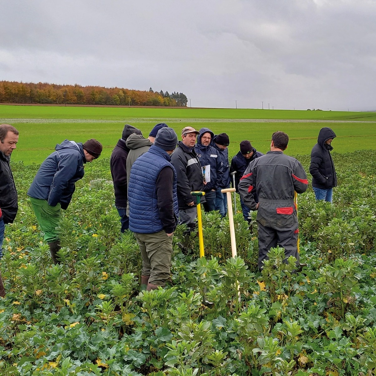 Le groupe Biosphère anime une formation pour un groupe d'agriculteurs du nord meusien