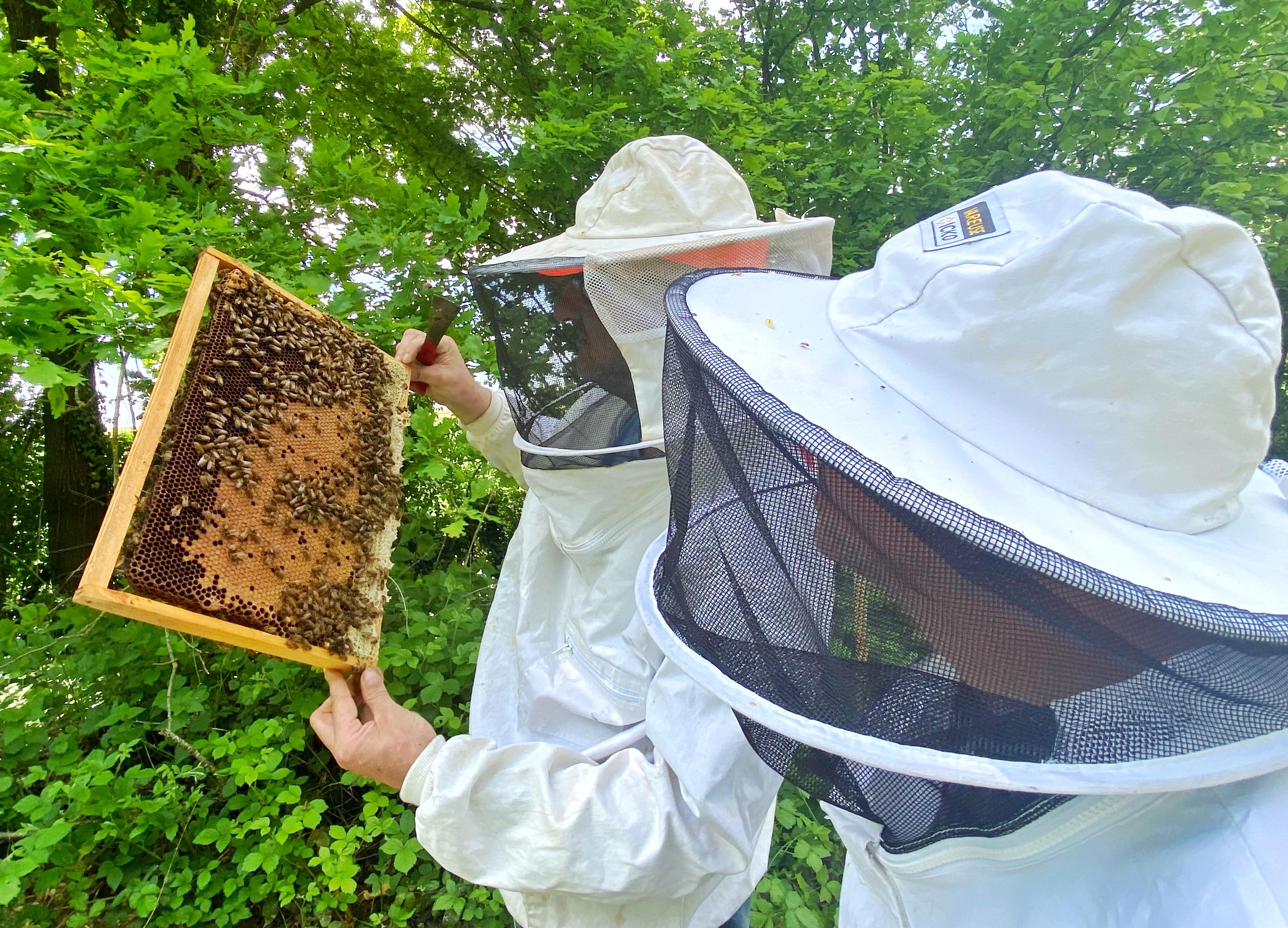 M comme Miel, la miellerie locale aux saveurs de l'Oise !