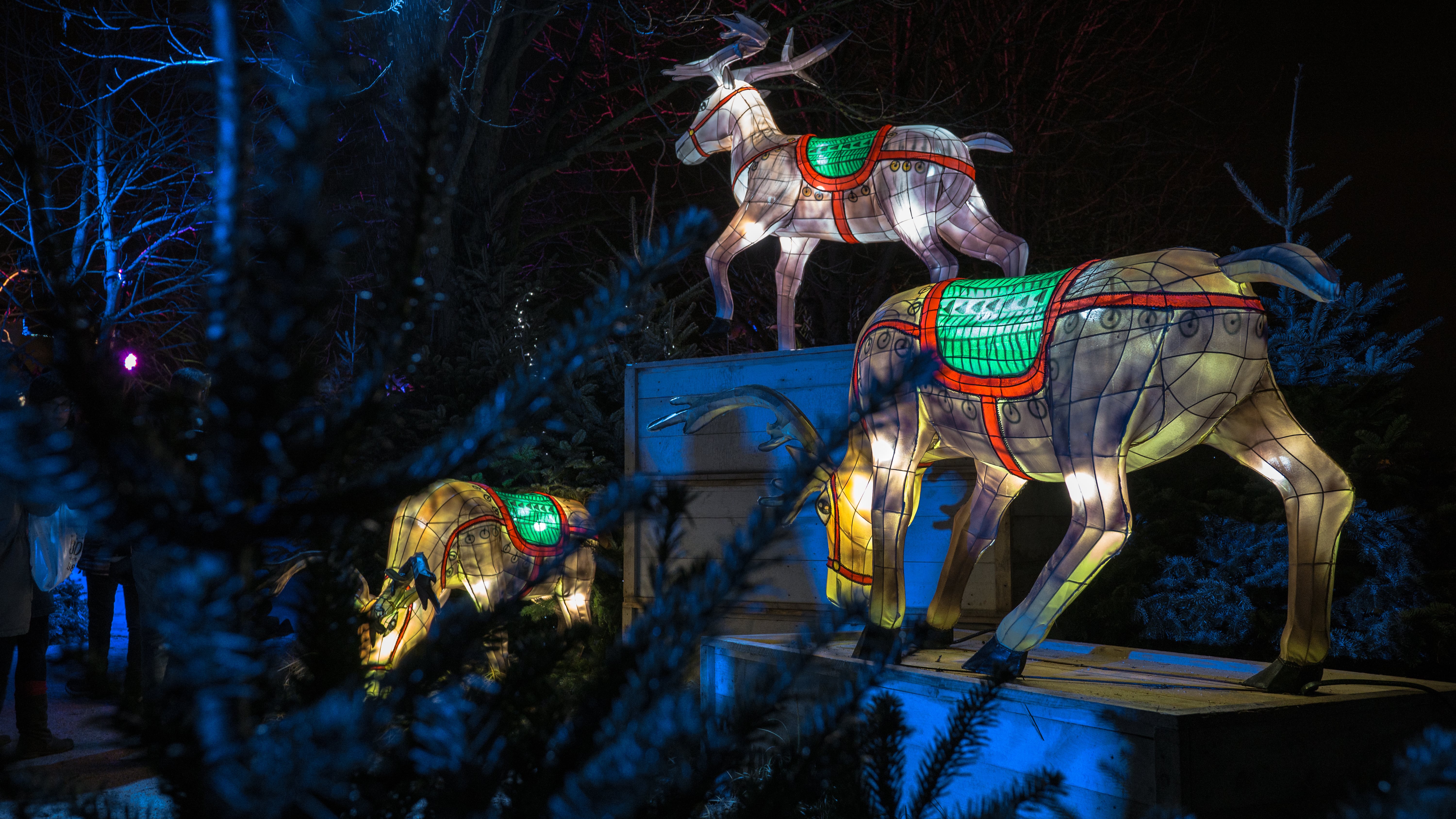 Record de fréquentation pour le Sentier des Lanternes