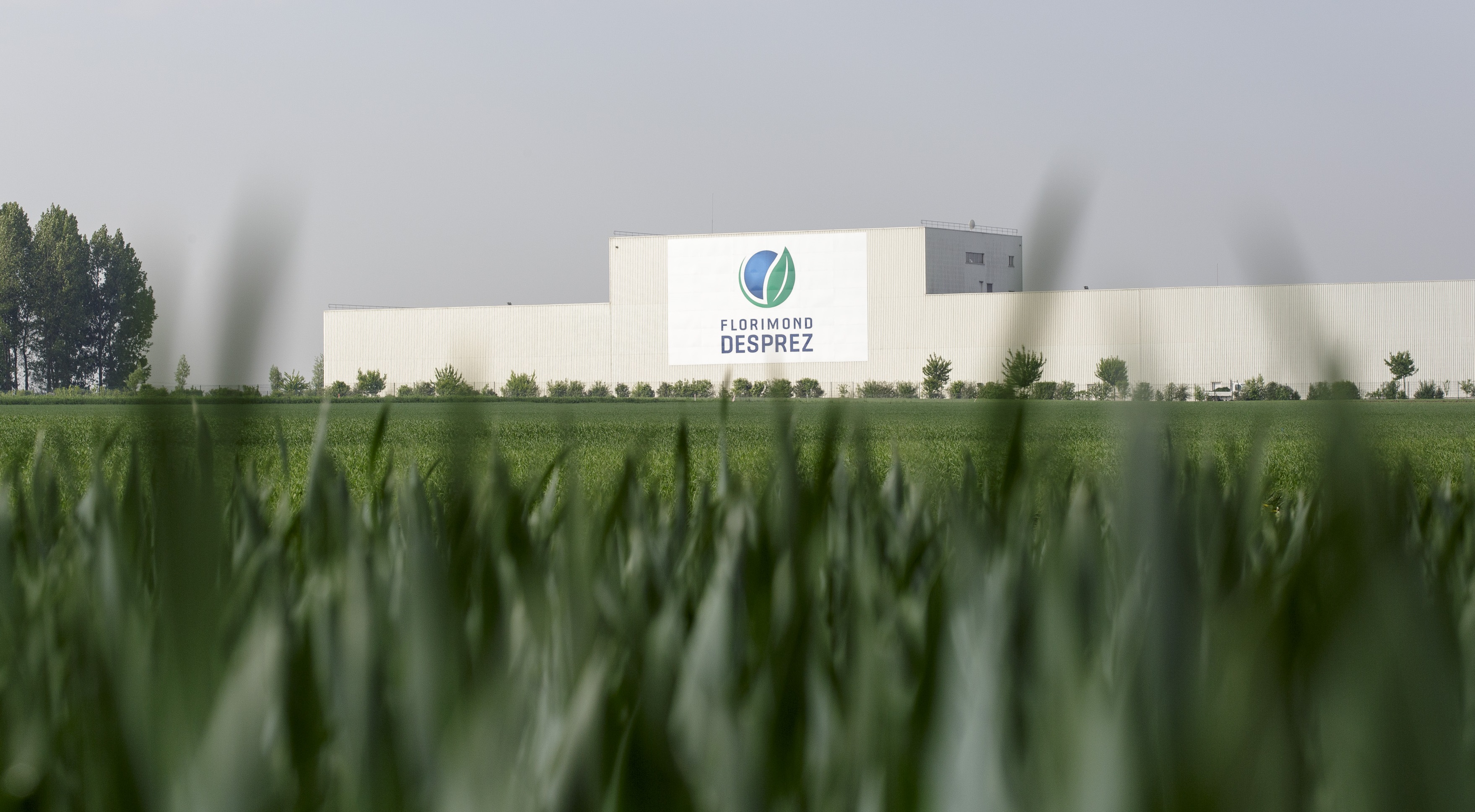 Le Groupe Florimond Desprez développe les variétés de blé et betteraves de demain