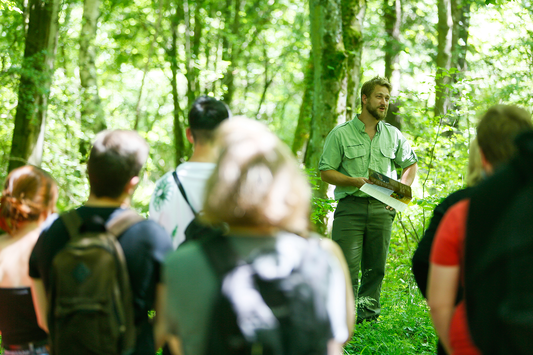 Filière bois : opération séduction au mois de mars 