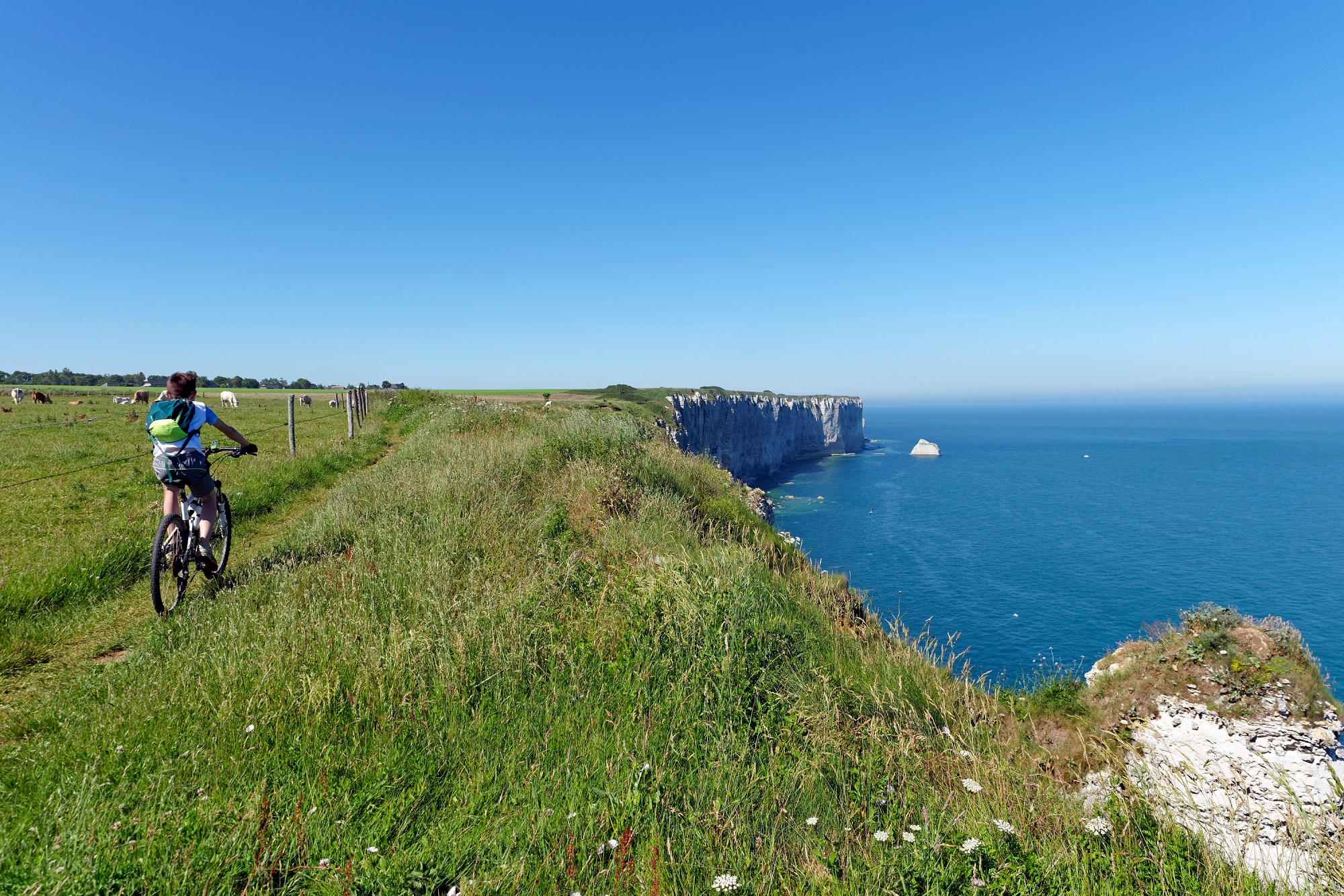 Le label Normandie Qualité Tourisme encourage au tourisme responsable