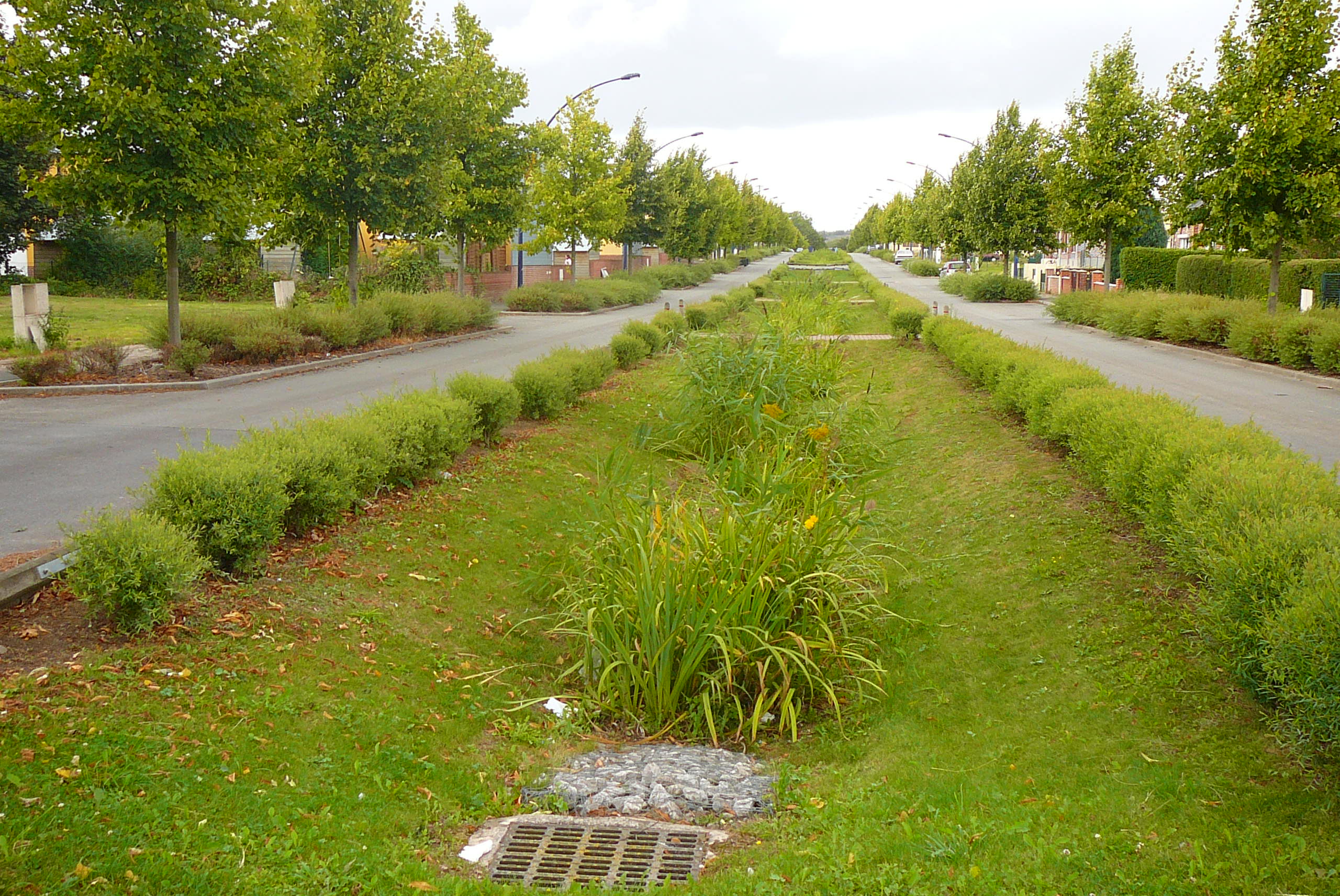 L’agence de l’eau Artois-Picardie au cœur des politiques de territoire