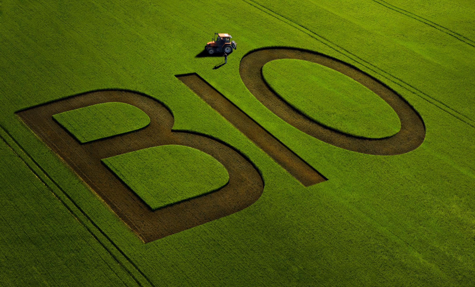 La consommation bio en baisse