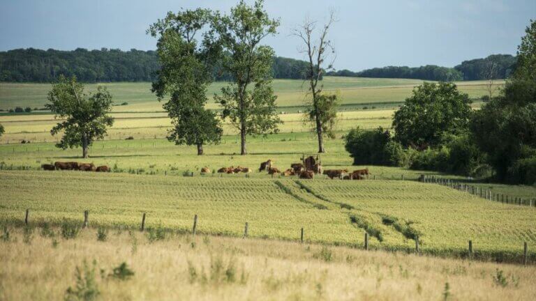 Compensation collective agricole : l’Andra lance un appel à projets
