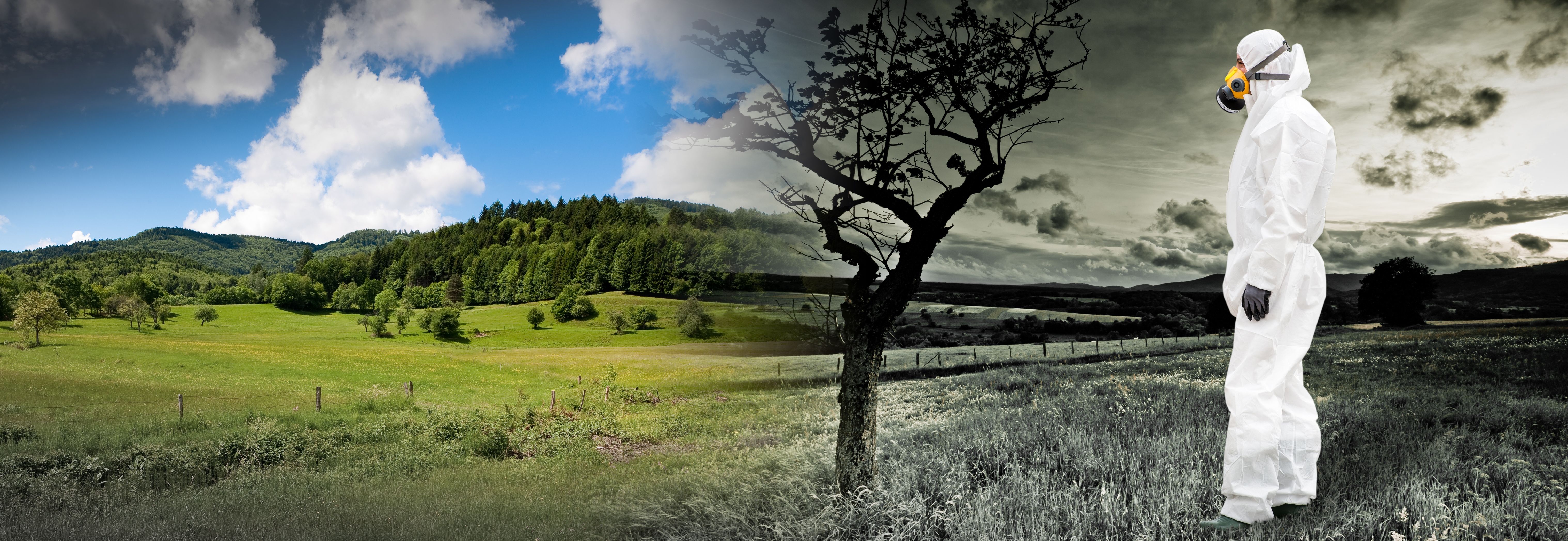 Prévention des risques : La Métropole Rouen Normandie distinguée pour son programme d’action 