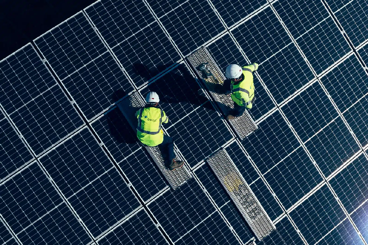 Quatre jeunes éleveurs du plateau du barrois au cœur d’un projet agrivoltaïque