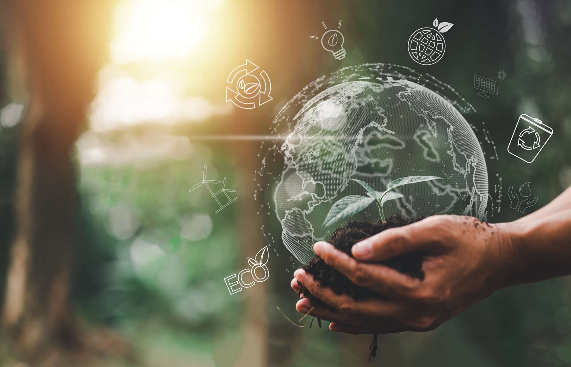 Cop Green 2023 : soirée 