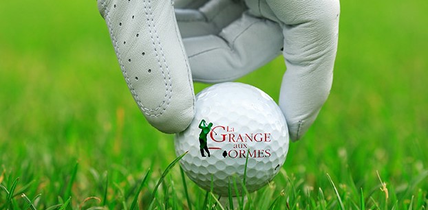 Dans un mois, le 20e Open de la Mirabelle d’Or à Marly