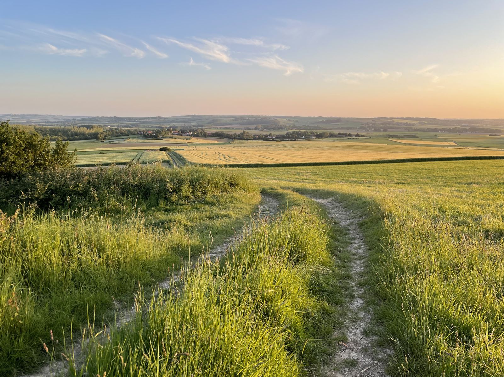 Les terres agricoles demeurent convoitées