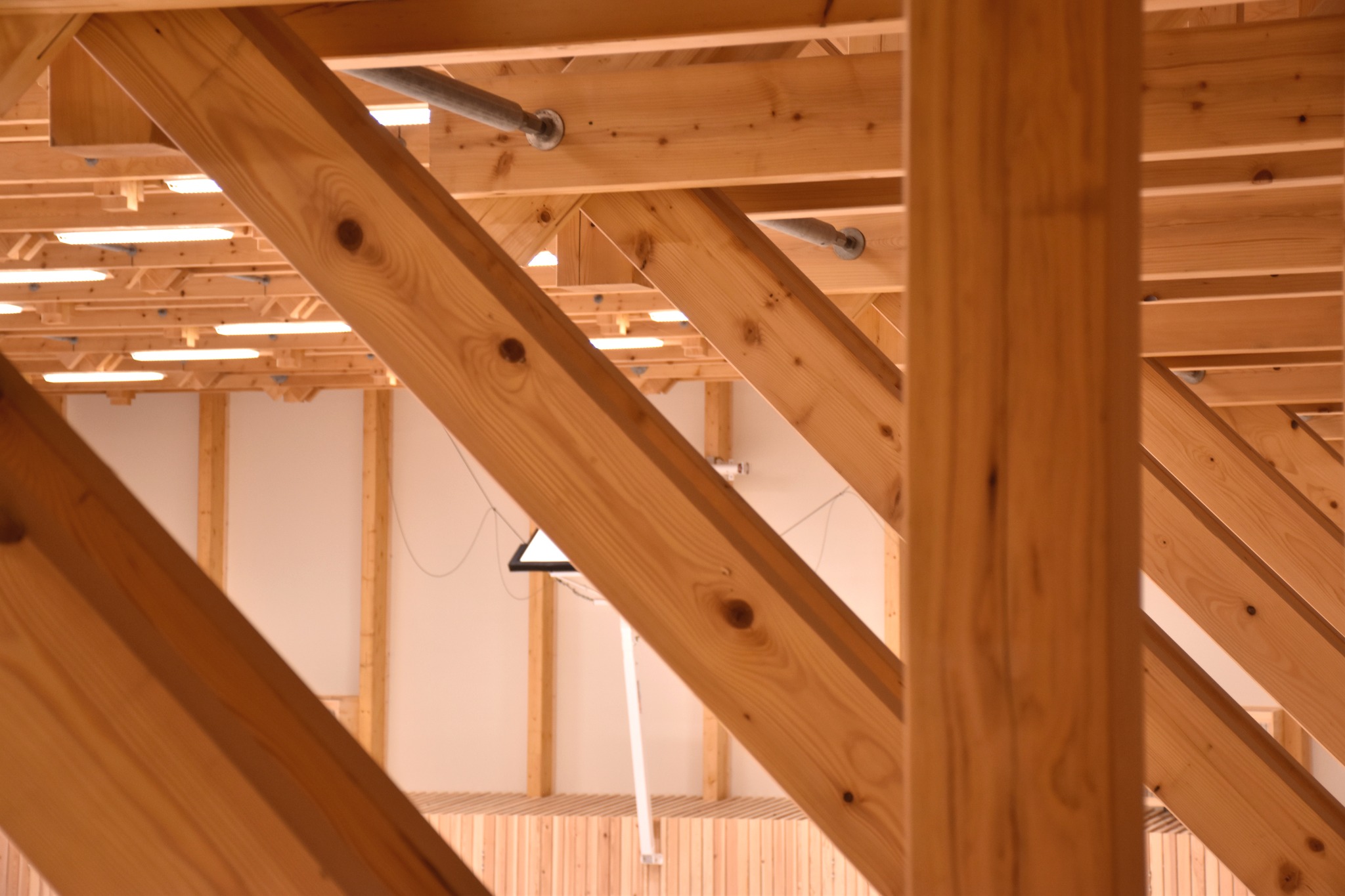 Fibois Grand Est  À Nancy, le 30 juin