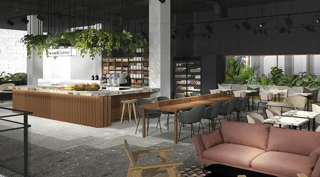 Pour son retour à Lille, Habitat voit les choses en grand