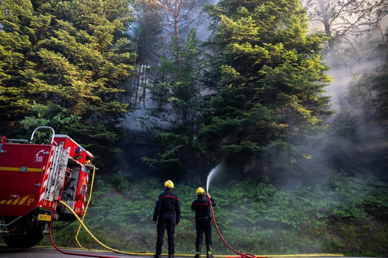 Feux de forêt: le Parlement renforce la prévention