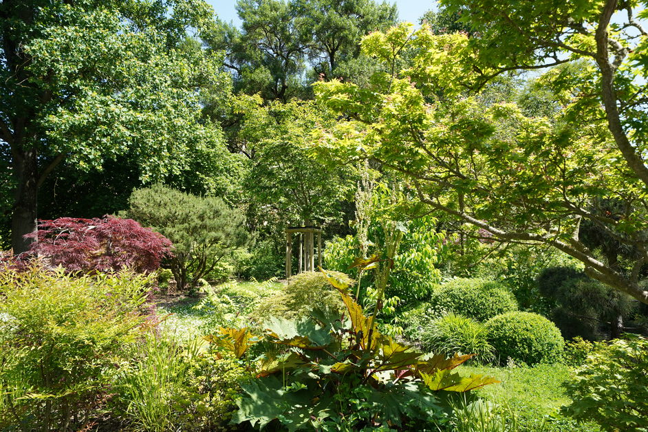 Le Jardin Botanique de Metz propose une nouvelle exposition 