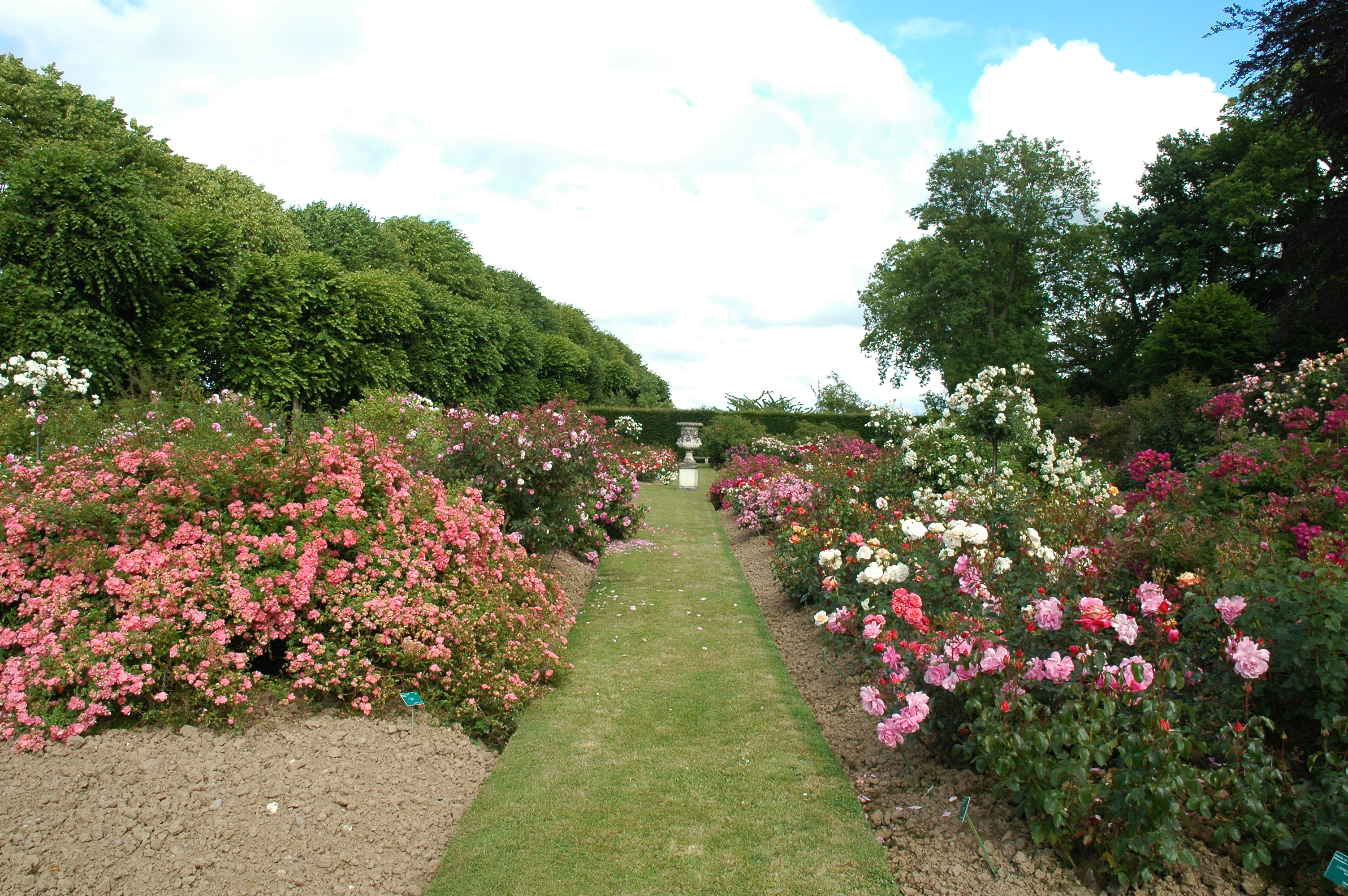 À la découverte de la roseraie privée la plus importante de Normandie