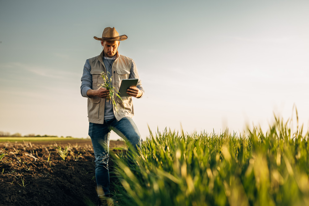 Bar-le-Duc : un projet de jardins partagés est abandonné à cause d’une forte pollution au plomb