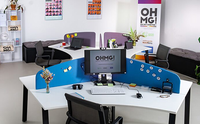 Oh my Goethe recherche porteurs de projet